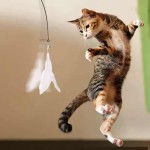 Comfortable Cat Teaser Toy Interactive Bell Feather Wand Long Suction Cup Pole Exciting Playtime Adventures Ultimate
