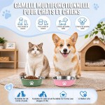 Safe Stainless Steel Dog Basin Paw Print Pet Supplies Cat Bowl Silicone Anti-slip Design Drinking Water Feeding