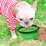 Adjustable Durable TPR Portable Pet Food Bowl Cats Dogs Silicone Collapsible Travel Outdoor Water Pets