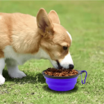 Adjustable Durable TPR Portable Pet Food Bowl Cats Dogs Silicone Collapsible Travel Outdoor Water Pets