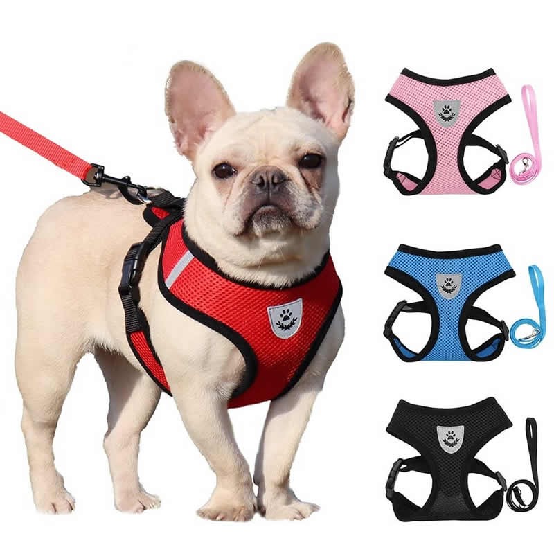 Waterproof Summer Cat Dog Harness Lead Leash Adjustable Vest Polyester Mesh Breathable Harnesses Reflective Small Lesah