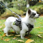 Multi-functional Pet Dog Treat Pouch Portable Multifunction Training Bag Outdoor Travel Poop Dispenser Durable Accessories