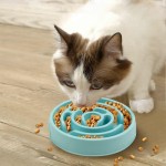 Adjustable Pet Dog Slow Feeder Bowl Fun Non Slip Anti-Gulping Slower Food Feeding Dishes Eco Large Medium Small Dogs Puppy