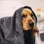 Anti-slip Dog Towel Drying Cat Pet Puppy Microfiber Quick-drying Claw Bath Products Absorbent Medium Dogs