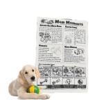 Sturdy Bite-resistant Newspaper Dog Toys Funny Squeaky Sounder Sounding Paper Small Medium Chew Frenchbull Easy Clean Puppy