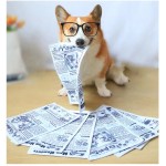 Sturdy Bite-resistant Newspaper Dog Toys Funny Squeaky Sounder Sounding Paper Small Medium Chew Frenchbull Easy Clean Puppy
