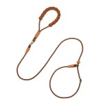 Versatile rope walking dogs traction going out dog training special chain large medium small