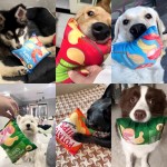 Portable Funny Dog Toys Crisps Plush Filled Pets Squeaky Chew Toy Bite-resistant Sounding Paper Small Medium Supplies