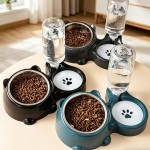 Safe Automatic Pet Feeder Water Dispenser Integrated Feeding System Cats Dogs No Battery Power Needed Slanted Mouth