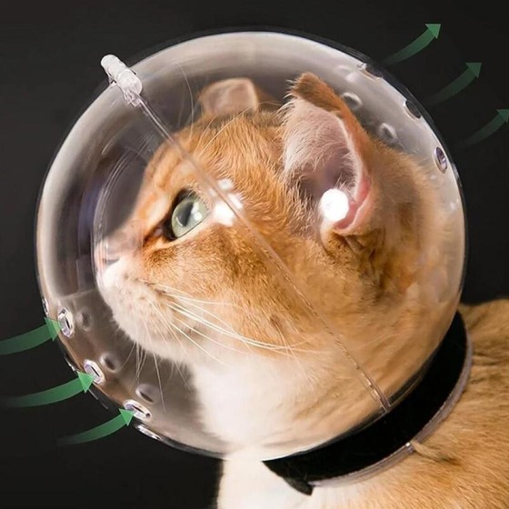 Multi-functional Breathable Sturdy Muzzle Mask Cat Head Cover Space Hood Ball shaped Kitten Protective Helmet Anti-bite Pet Grooming Supplies