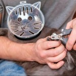 Multi-functional Breathable Sturdy Muzzle Mask Cat Head Cover Space Hood Ball shaped Kitten Protective Helmet Anti-bite Pet Grooming Supplies