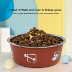 Anti-slip Durable Pet Food Bowl Stainless Steel Double-layer Thickened Anti-slip Water Feeder Basin Universal Cats Dogs