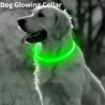 Breathable Rechargeable Fiber Optic Dog Collar Luminous Night Glow Pet Accessory Detachable Safety Enhanced Nighttime Visibi