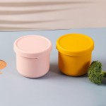 Compact 250ML Lunch Box Kids Salad Dressing Container Non-stick Silicone Lid Reusable Bento Ice Cube Mold