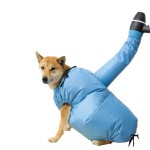 Lightweight Pet drying bag blow-drying cats dogs suitable bathing fur clothes