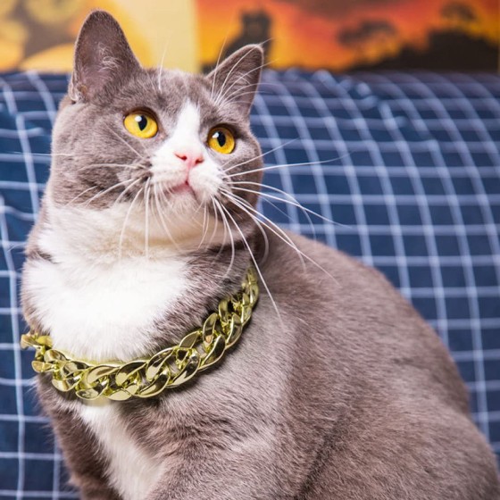 Easy To Clean Plastic Dog Cat Neck Chain Fashion Cuban Link Collar Cool Sliver Gold Necklace Kitten Puppy Accessories