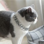 Easy To Clean Plastic Dog Cat Neck Chain Fashion Cuban Link Collar Cool Sliver Gold Necklace Kitten Puppy Accessories