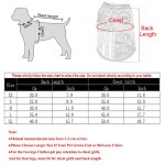 Durable Summer Cool Dog Clothes Mesh Breathable Vest Small Dogs Cats Independence Day Pet T-shirt Two-legged Clothing Teddy Costume