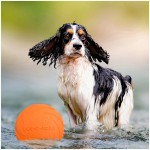 Sturdy Interactive Silicone Flying Saucer Toy Dogs Cats Chew Resistant Disc Pet Game Perfect Puppy Training Fun