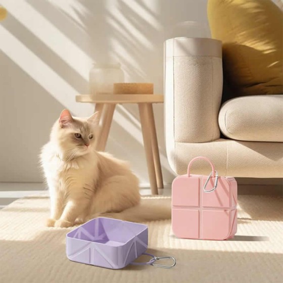 Modern Design Silicone Collapsible Pet Travel Bowl Portable Dog Cat Outdoor Food Water Camping Hiking On-the-Go Use