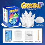Secure Clasp Crystal growing model science kit variety colors selection educational STEM toys gifts boys girls