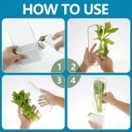Precision Refrigerator Herb Crisper Saver Pod Container Vegetable Fresh Keeper Bottle Cilantro Mint Parsley Asparagus Kitchen Storage