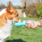 Interactive Portable Pet Dog Water Bottle Small Large Dogs Cat Food Bowl Puppy Cup Container Hiking Chihuahua French Bulldog Accessories