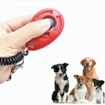 Brilliant Dog Training Clicker Pet Cat Click Trainer Various Style Aid Adjustable WristStrap Sound Key Chain Repeller Product