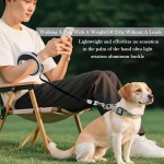 Portable Retractable Dog Lead Heavy-Duty Extendable Leads Strong Nylon Tape Leash One-Handed Brake Lock Tangle-Free Design Small