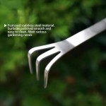 Heavy Duty Stainless Steel Root Rake Bonsai Potted Plants 3-Prong Loosen Soil Tool Handheld Rustproof Home Gardening
