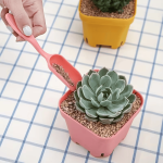 Breathable 4pcs set Plastic Durable Bucket shovel Potted Cultivation cylinder MeatPlant soil Garden Tools Mini Planting Tool