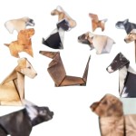 Non-toxic DIY Origami Paper Cats Dogs Dinosaurs Kit 50Pcs Fold Own Animal Craft Cute 3D Desk Decor Toy Kids Adults Beginners Gift