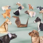 Non-toxic DIY Origami Paper Cats Dogs Dinosaurs Kit 50Pcs Fold Own Animal Craft Cute 3D Desk Decor Toy Kids Adults Beginners Gift