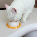 Interactive Dog cat licking bowl pet toy slow food non-slip educational makes dogs cats love