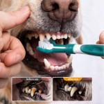Anti-slip 3-Sided Pet Toothbrush Dog Plastic Removing Tartar Cleaning Mouth Care Cat Accessories