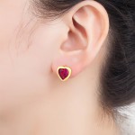 Romantic Heart Shape Inlaid Zircon Charm Stud Earrings for Women 5 Colors Jewelry Gift