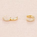 Gold Plated Stainless Steel Small Hoop Earrings with Multicolor Zircon