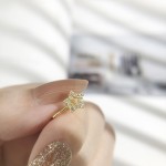 Fake Piercing Nose Ring Cuff Clip-On Body Jewelry for Women