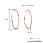 Simple Bamboo Circle Hoop Earrings for Women Rose Gold