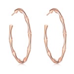 Simple Bamboo Circle Hoop Earrings for Women Rose Gold