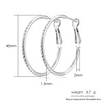 Rose Gold Round Crystal Hoop Earrings for Women