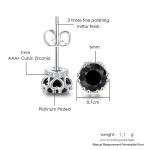 6mm Black Zircon Stud Earrings for Men and Women, Silver-Tone Hip Hop Piercing Jewelr