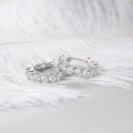 Small Micro Pave Zircon Hoop Earrings for Women and Men