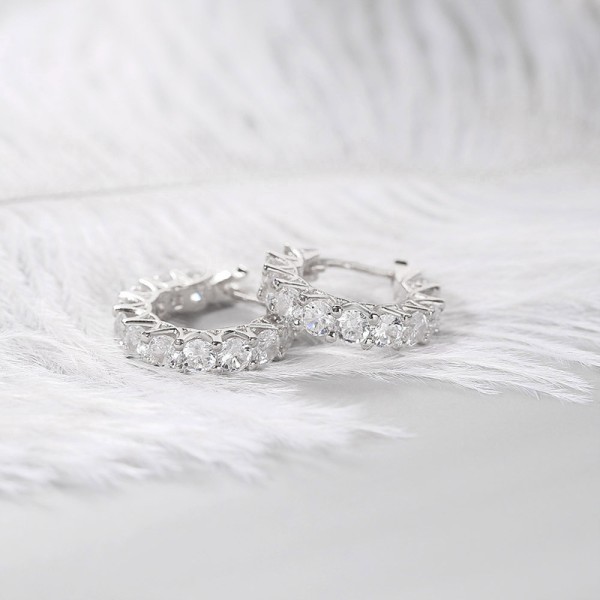 Small Micro Pave Zircon Hoop Earrings for Women and Men