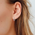 Small Micro Pave Zircon Hoop Earrings for Women and Men