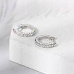 Small Micro Pave Zircon Hoop Earrings for Women and Men