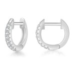 Small Micro Pave Zircon Hoop Earrings for Women and Men