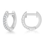 Small Micro Pave Zircon Hoop Earrings for Women and Men
