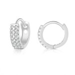 Small Micro Pave Zircon Hoop Earrings for Women and Men