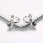 Classic Crystal Drop Earrings in Silver Tone
